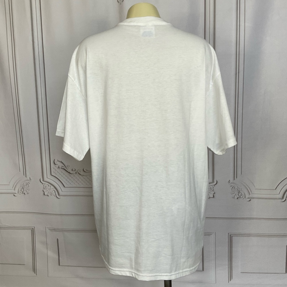 China Giant Panda by Air Waves Hanes Heavyweight 50/50 Graphic Shirt Adult Large - Picture 4 of 6